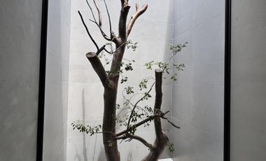 CASA JAGUAR EN VENTA MÉRIDA,  PRIVADA YUCATAN COUNTRY CLUB, AV. PASEO JAGUAR