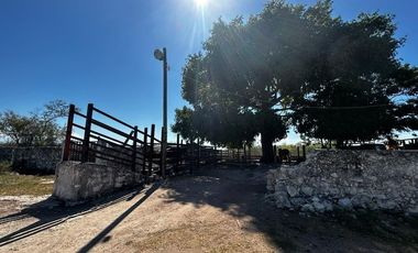 RANCHO EN VENTA EN MERIDA,  EN  IXIL,  A 45 MINUTOS DE MERIDA, YUCATAN.