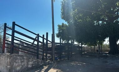 RANCHO EN VENTA EN MERIDA,  EN  IXIL,  A 45 MINUTOS DE MERIDA, YUCATAN.