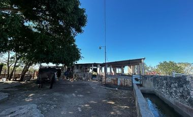 RANCHO EN VENTA EN MERIDA,  EN  IXIL,  A 45 MINUTOS DE MERIDA, YUCATAN.