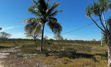 RANCHO EN VENTA EN MERIDA,  EN  IXIL,  A 45 MINUTOS DE MERIDA, YUCATAN.