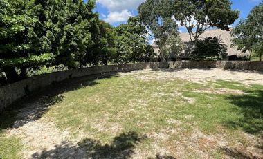 QUINTA/CASA/TERRENO EN VENTA MERIDA, PANABA, 98 HECTAREAS, ENTREGA INMEDIATA.