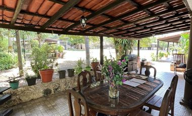 QUINTA/CASA/TERRENO EN VENTA MERIDA, PANABA, 98 HECTAREAS, ENTREGA INMEDIATA.