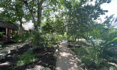 QUINTA/CASA/TERRENO EN VENTA MERIDA, PANABA, 98 HECTAREAS, ENTREGA INMEDIATA.