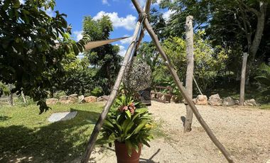 QUINTA/CASA/TERRENO EN VENTA MERIDA, PANABA, 98 HECTAREAS, ENTREGA INMEDIATA.