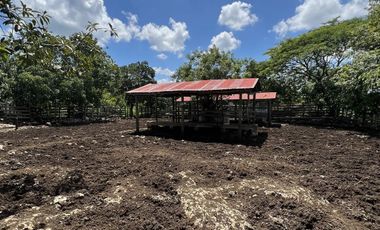 QUINTA/CASA/TERRENO EN VENTA MERIDA, PANABA, 98 HECTAREAS, ENTREGA INMEDIATA.