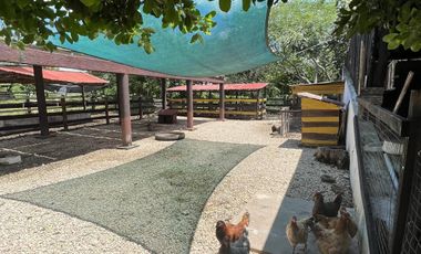 QUINTA/CASA/TERRENO EN VENTA MERIDA, PANABA, 98 HECTAREAS, ENTREGA INMEDIATA.