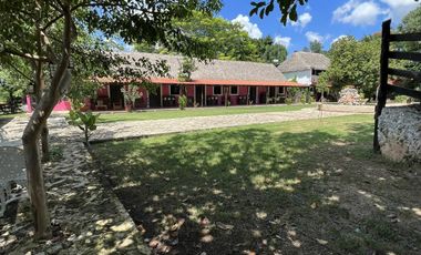 QUINTA/CASA/TERRENO EN VENTA MERIDA, PANABA, 98 HECTAREAS, ENTREGA INMEDIATA.