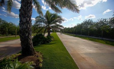 TERRENO/LOTE EN VENTA MERIDA, CARRETERA CHICXULUB, PRIVADA LA RESERVA, LISTO.