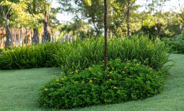 TERRENO/LOTE EN VENTA MERIDA, CARRETERA CHICXULUB, PRIVADA LA RESERVA, LISTO.