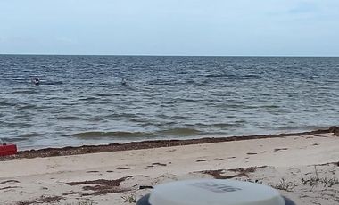 DEPARTAMENTO EN VENTA MERIDA, SAN CRISANTO, MAR DE MIEL, MOD COLMENA, MAR 2027.
