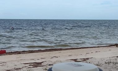 DEPARTAMENTO EN VENTA MERIDA, SAN CRISANTO, MAR DE MIEL, MOD COLMENA, DIC 2026.