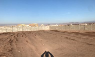 PB ARRIENDA TERRENOS SECTOR INDUSTRIAL LA NEGRA ENERGIZADOS