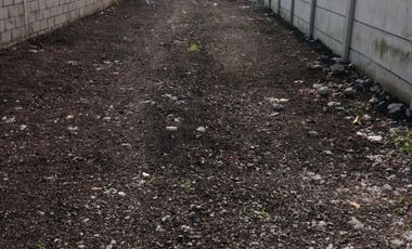 DI SEWAKAN LAHAN KOSONG 1,5 HEKTAR