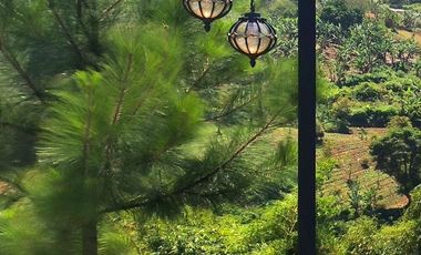 Rumah Dago Pasif Income Auto Pilot