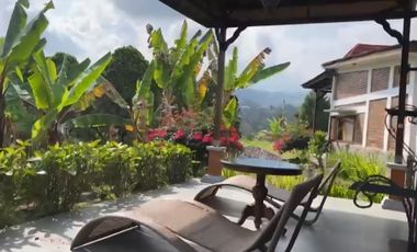 Resort dan Villa View Gunung Lembah Bukit Sawah di Baturiti