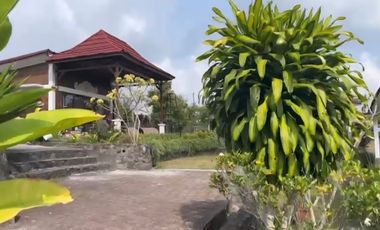 Resort dan Villa View Gunung Lembah Bukit Sawah di Baturiti