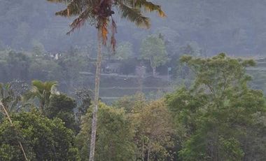 Resort dan Villa View Gunung Lembah Bukit Sawah di Baturiti