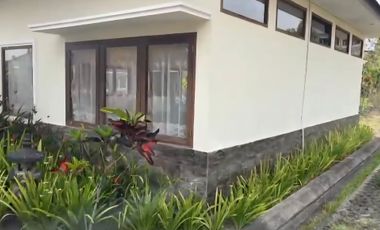 Resort dan Villa View Gunung Lembah Bukit Sawah di Baturiti