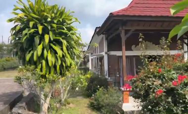 Resort dan Villa View Gunung Lembah Bukit Sawah di Baturiti