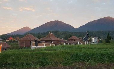 Resort dan Villa View Gunung Lembah Bukit Sawah di Baturiti