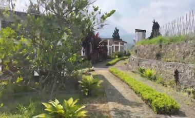 Resort dan Villa View Gunung Lembah Bukit Sawah di Baturiti