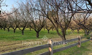 Hermosa parcela con casa, en ubicación privilegiada en el mejor sector de la comuna Padre Hurtado.
