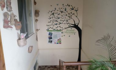 Hotel en venta Pedernales - Manabi - Ecuador