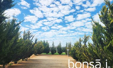 Quinta Divina en VENTA ubicada en Valle De Guadalupe