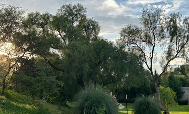 Quinta de Allende PH