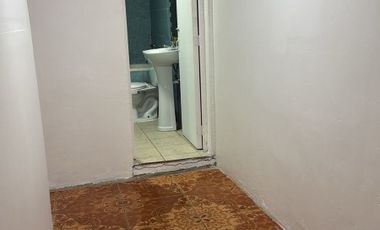 MAULLIN CON LOS CHAUQUES