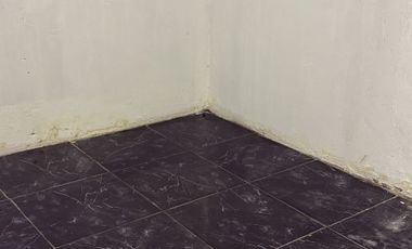 MAULLIN CON LOS CHAUQUES