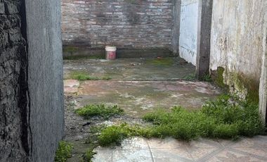 MAULLIN CON LOS CHAUQUES