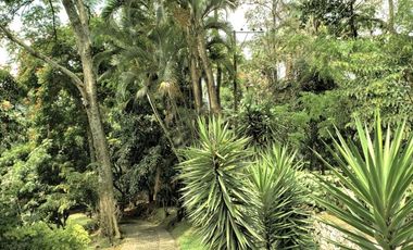 Venta Finca - La Mesa Cundinamarca