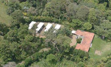 Se arrienda apartaestudio en Cerro Canceles