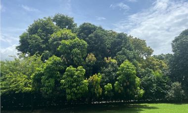 Venta de Finca Santa Fé de Antioquia, Unidad Cerrada Cerca al Cauca