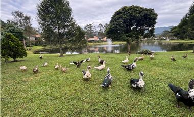 Alquiler de casa moderna en Llano Grande con lago privado y turco