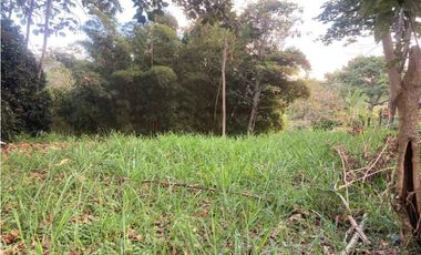 En venta Lote cerca a via principal