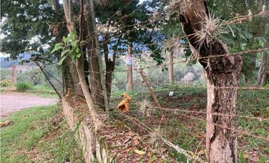 En venta Lote cerca a via principal