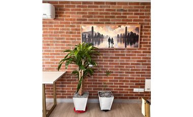 Amoblado HERMOSO Estudio tipo Loft Laureles cerca al 2 parque