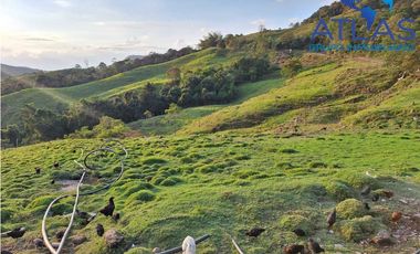 VENTA PERMUTA DE FINCA DE EN CHARALA SANTANDER COD :1050