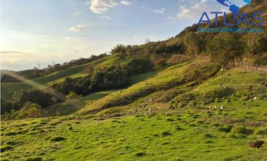 VENTA PERMUTA DE FINCA DE EN CHARALA SANTANDER COD :1050