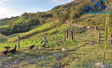 VENTA PERMUTA DE FINCA DE EN CHARALA SANTANDER COD :1050