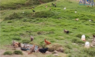 VENTA PERMUTA DE FINCA DE EN CHARALA SANTANDER COD :1050