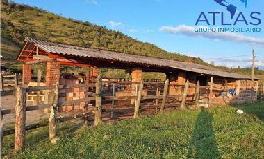 VENTA PERMUTA DE FINCA DE EN CHARALA SANTANDER COD :1050