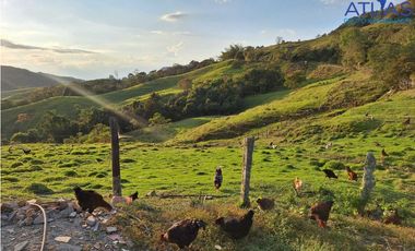 VENTA PERMUTA DE FINCA DE EN CHARALA SANTANDER COD :1050