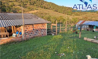 VENTA PERMUTA DE FINCA DE EN CHARALA SANTANDER COD :1050