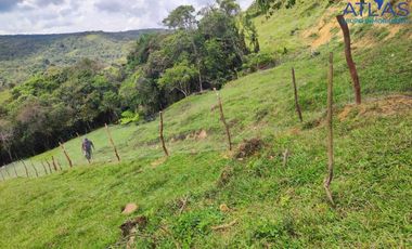 VENTA PERMUTA DE FINCA DE EN CHARALA SANTANDER COD :1050