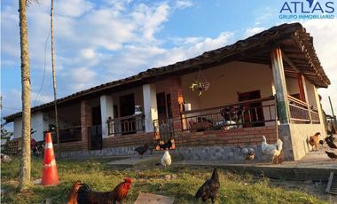 VENTA PERMUTA DE FINCA DE EN CHARALA SANTANDER COD :1050