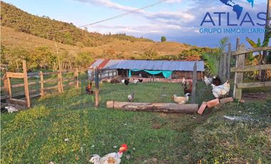 VENTA PERMUTA DE FINCA DE EN CHARALA SANTANDER COD :1050